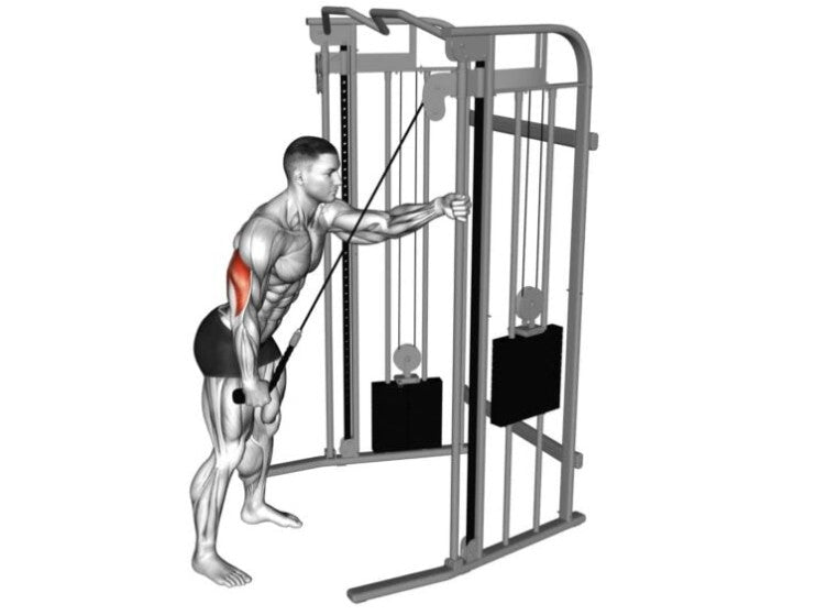 Tricep Buddy v2 (Soft Grip-Patent Pending)