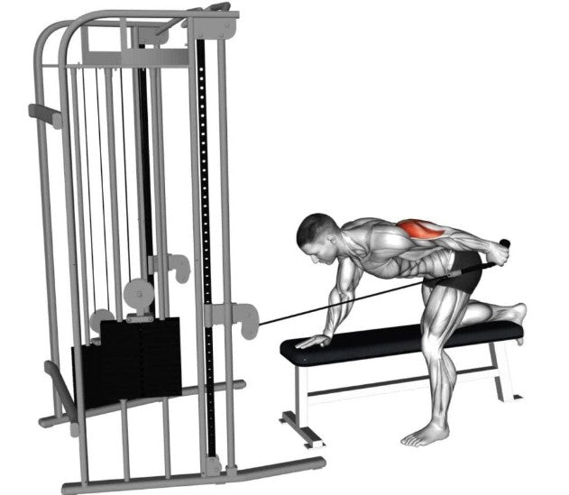 Tricep Buddy v2 (Soft Grip-Patent Pending)