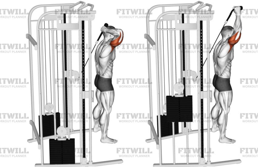 Tricep Buddy v2 (Soft Grip-Patent Pending)